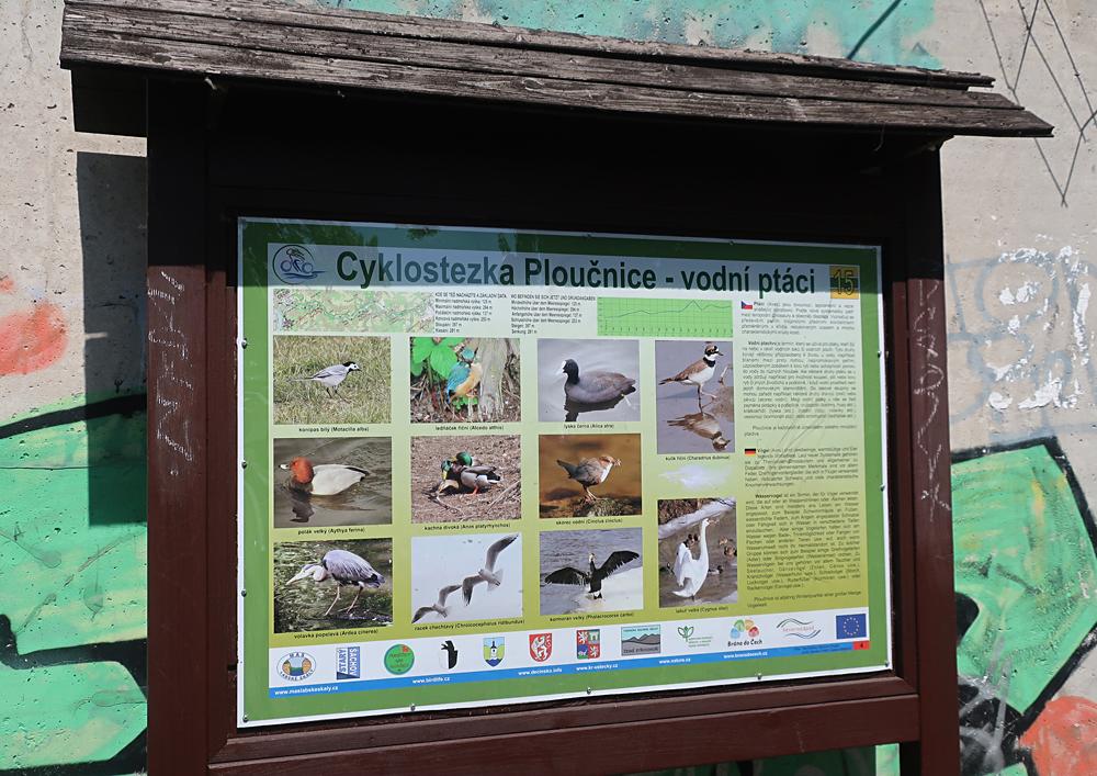 Cyklotrasa �. 15 - Plou�nice (nau�n� stezka)