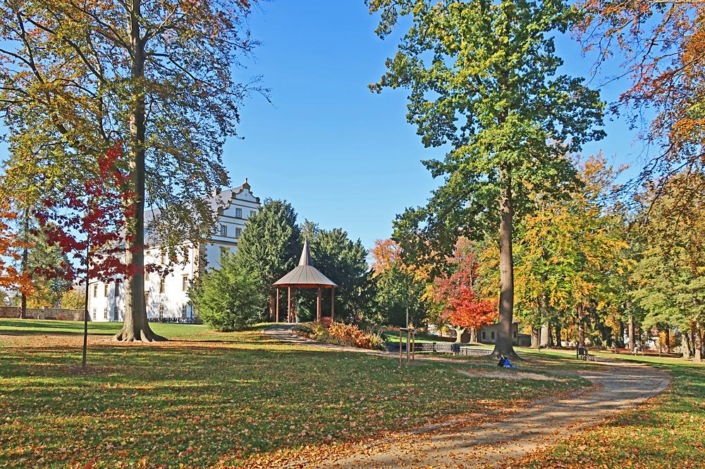 Z�meck� park ve �luknov� - �esk� nizozem�.