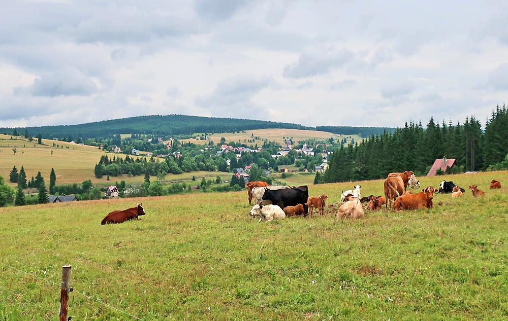 Horn� Blatn� v Kru�n�ch hor�ch.