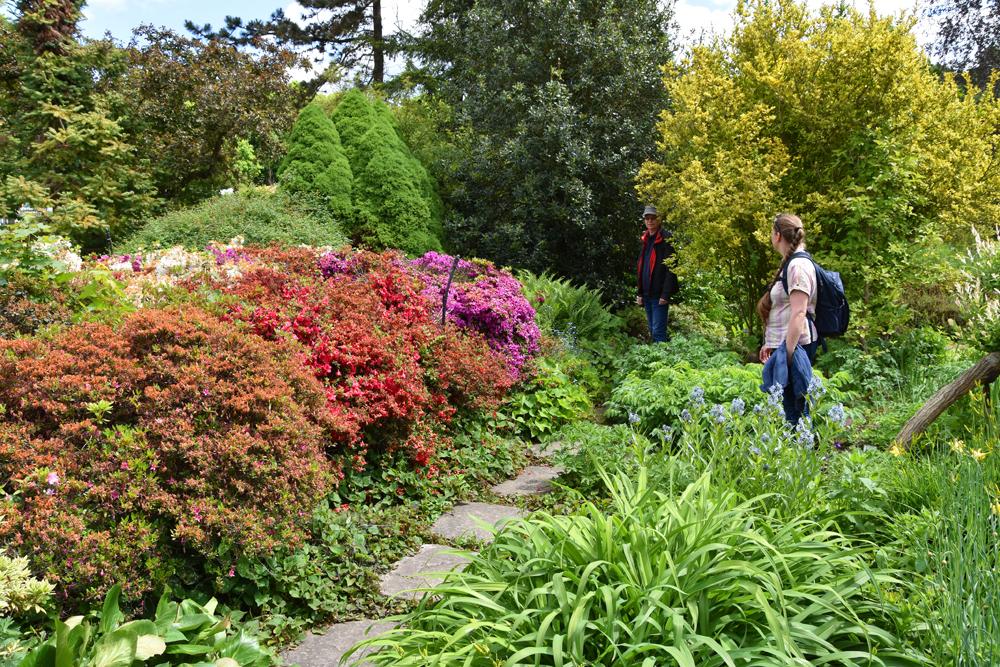 Botanick� zahrada Teplice - venkovn� zahrada.