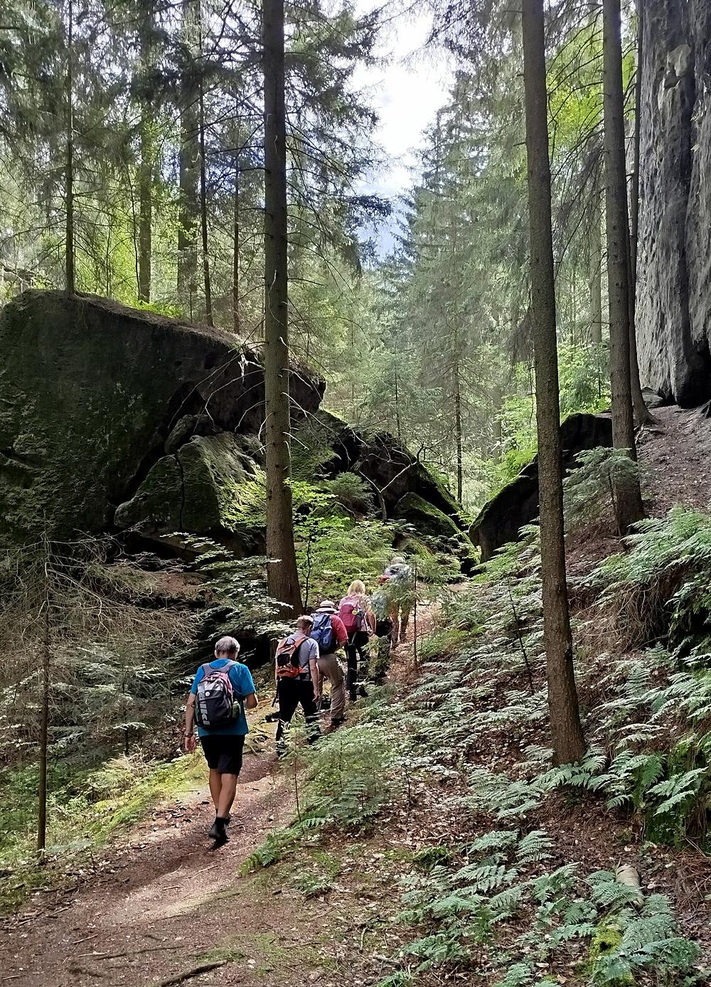V�stup skaln� sout�skou na Kleinhennersdorfer Stein po trase Forststeig Elbsandstein.