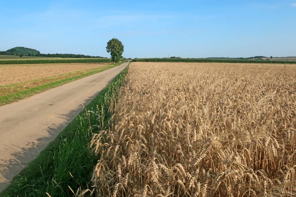 P��mo p�es Jentschberg vede cyklistick� trasa Karasek Radroute.